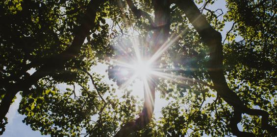 jessica-sysengrath-479313-unsplash